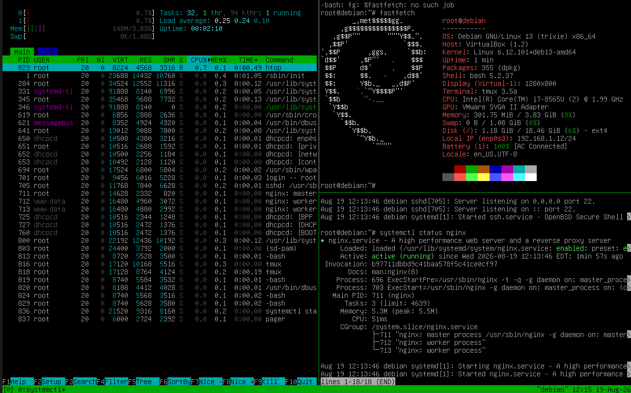 Debian Server Tmux & Nginx Active Status